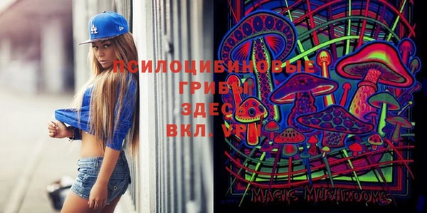 молекула духа Баксан