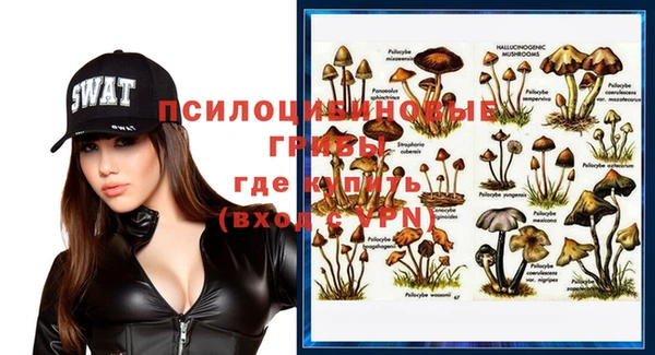 молекула духа Баксан
