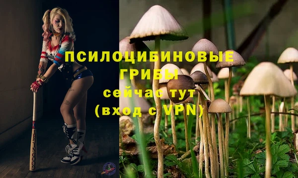 молекула духа Баксан