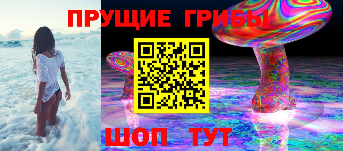 Псилоцибиновые грибы Psilocybe  Псилоцибиновые грибы GOLDEN TEACHER  Семилуки  Вход с VPN 